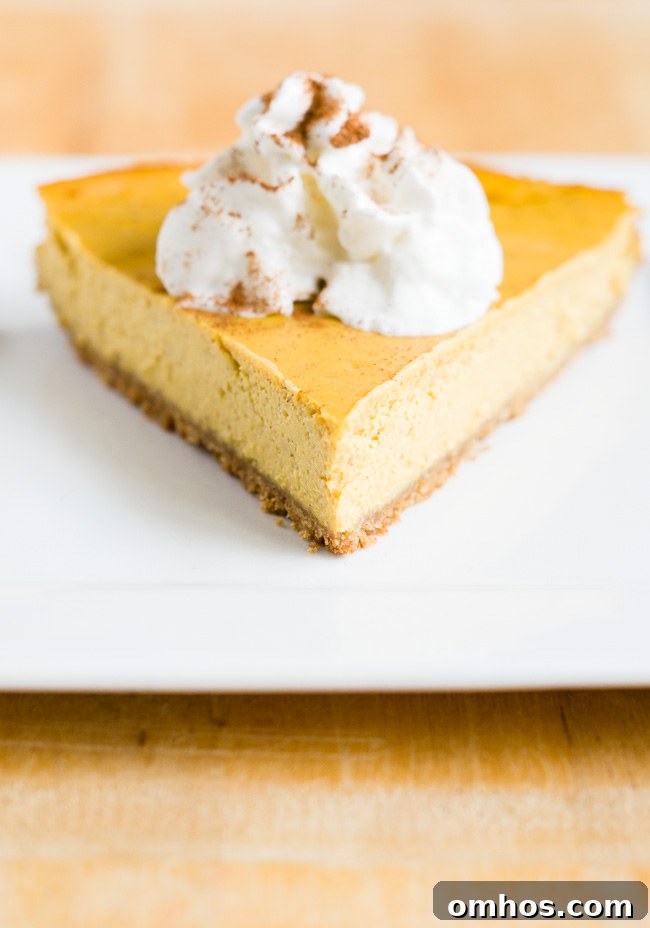 Light Pumpkin Cheesecake