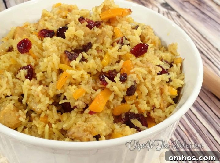 Pork and Cranberry Rice Pilaf 3 img 736 2