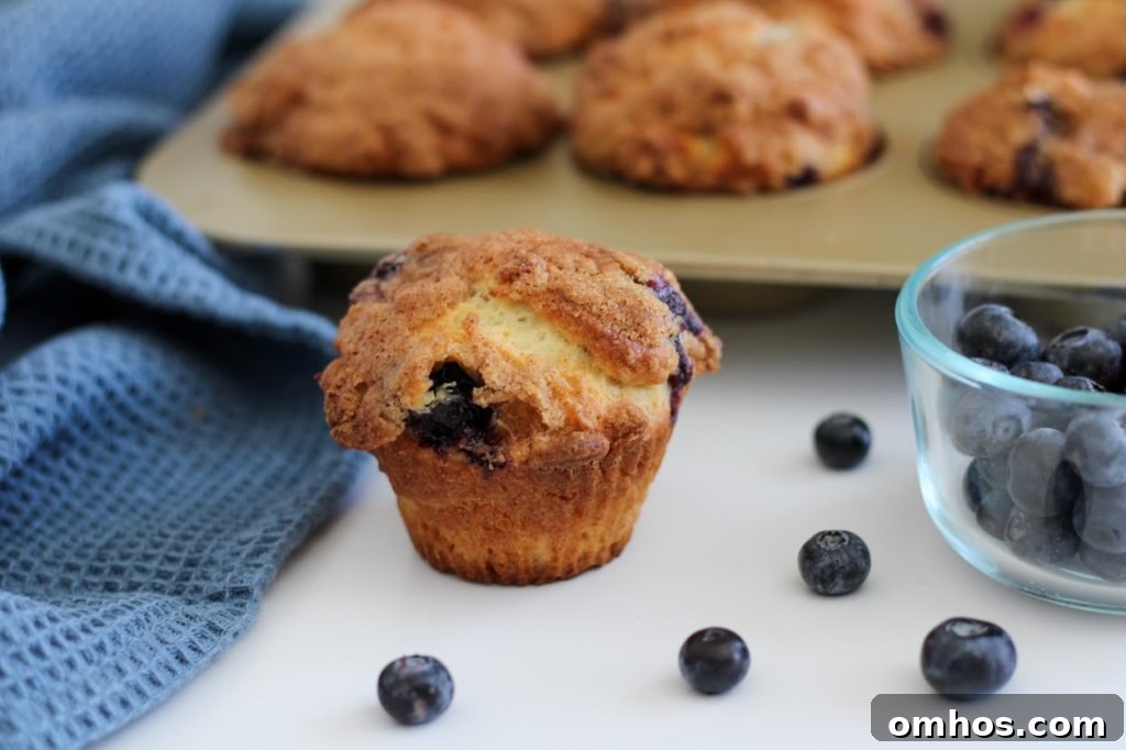 Gluten Free Blueberry Streusel Muffins Recipe 2 gluten-free blueberry streusel muffins on a cooling rack