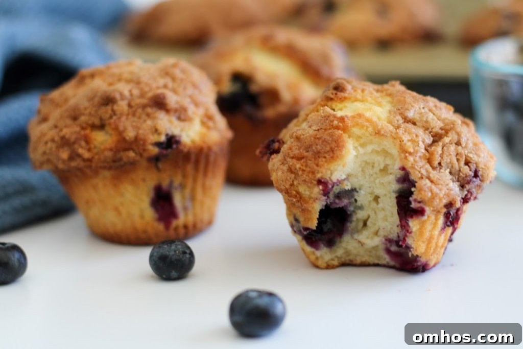 Gluten Free Blueberry Streusel Muffins Recipe 9 single gluten-free blueberry streusel muffin on plate
