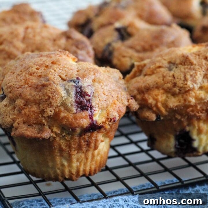 Gluten-Free Blueberry Muffins