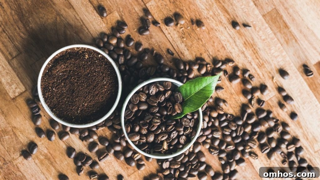 How to Use Coffee Grounds to Boost Houseplant Growth 2 coffee grounds