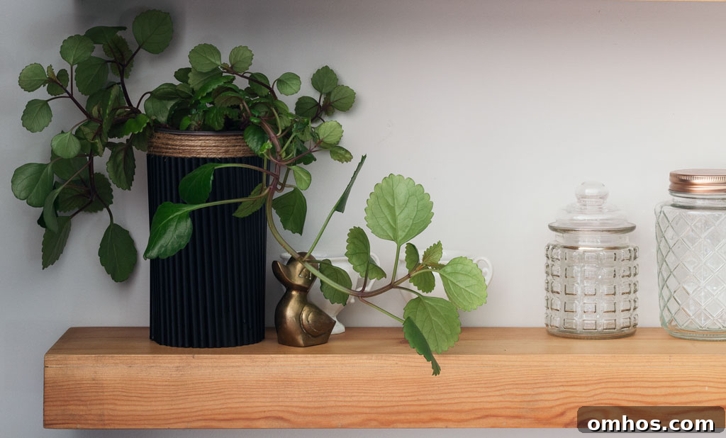 How to Use Coffee Grounds to Boost Houseplant Growth 3 Fluted Wood Planter