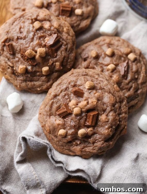 Hot Cocoa Cookies Recipe with Melted Chocolate 3 Hot Chocolate Cookies with milk chocolate and marshmallows