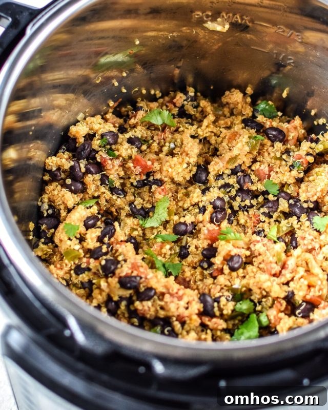 25 Quick Instant Pot Side Dish Recipes for Weeknights 26 Instant Pot containing Mexican quinoa, black beans and fresh cilantro leaves.