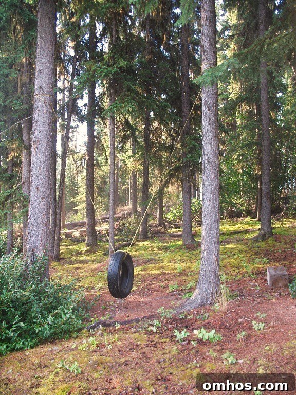 Lazy Man's Skillet Bannock Recipe from Francois Lake Cabin 11 skillet bannock and the old tire swing